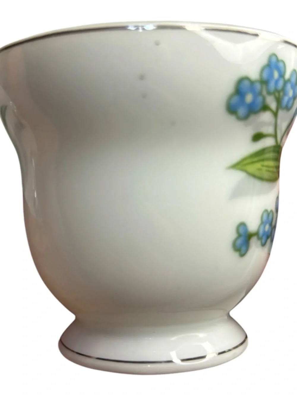 Vintage Royal Albert Bone China Tea Cup Saucer Blue Forget Me Not Floral Pattern